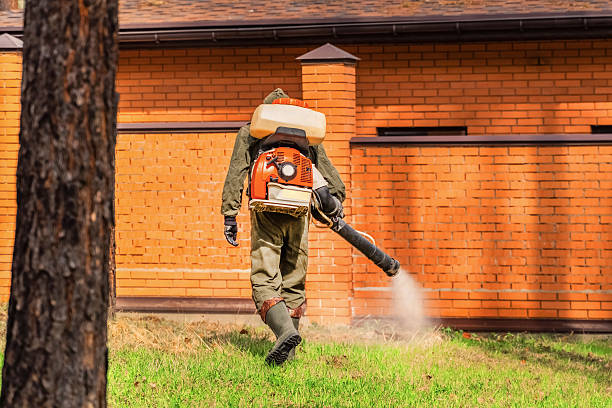 Trusted Termite Control service in Elkins, WV - Nex Pest Control